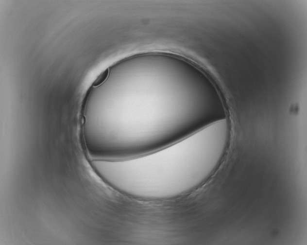 X0000110771512200906150941