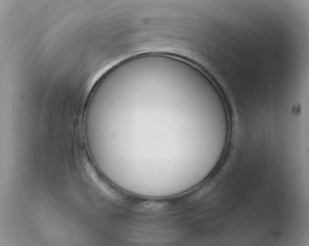 X0000110771513200906150941