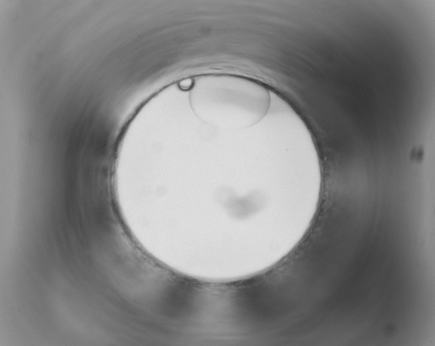 X0000110771514200906150941