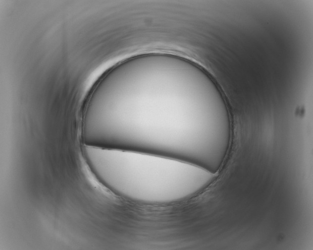 X0000110771515200906150941