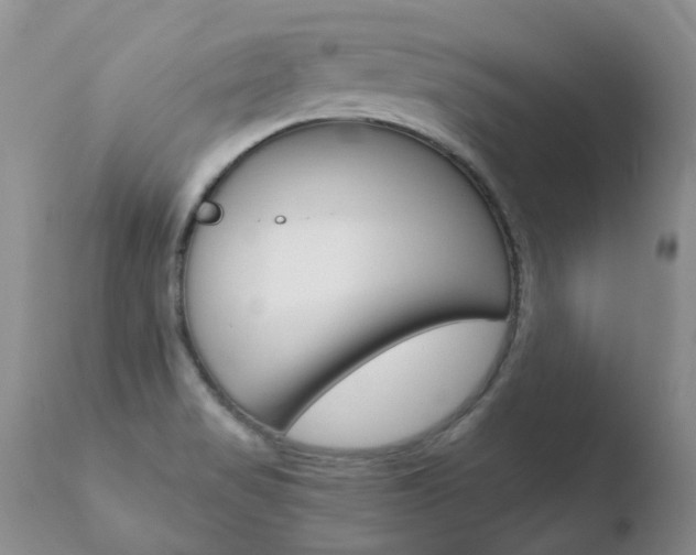 X0000110771517200906150941
