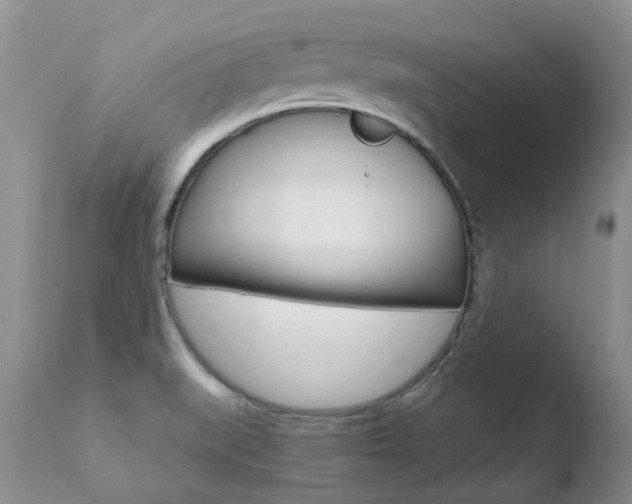 X0000110771519200906150941