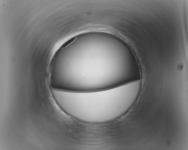 X0000110771520200906150941