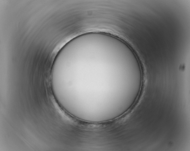 X0000110771521200906150941