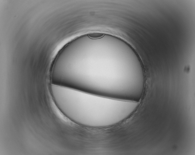 X0000110771523200906150942