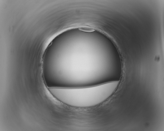 X0000110771524200906150942