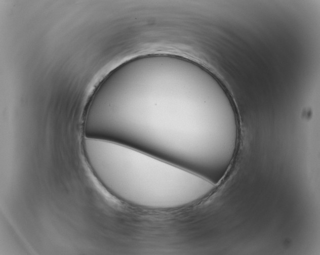 X0000110771525200906150942