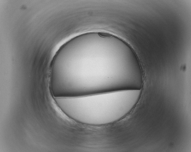 X0000110771526200906150942