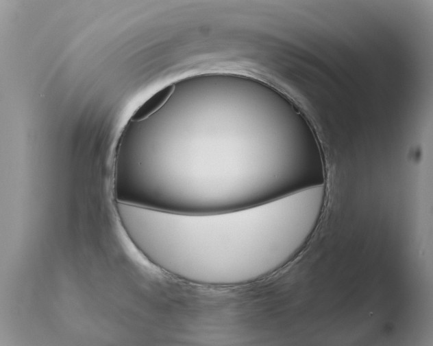 X0000110771528200906150942