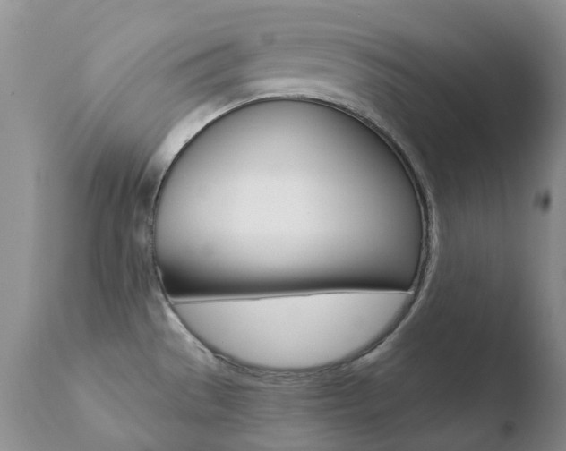 X0000110771529200906150942
