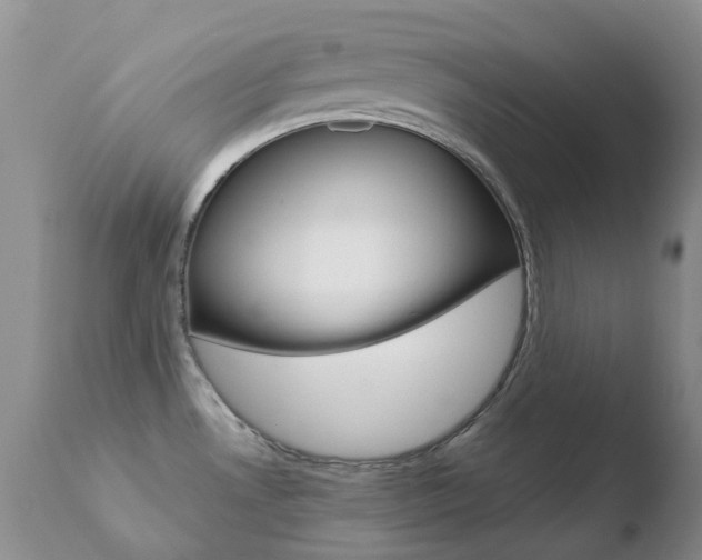 X0000110771530200906150942