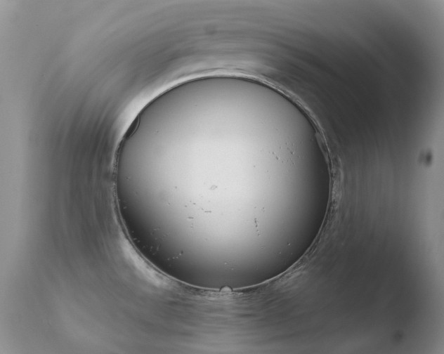 X0000110771532200906150942