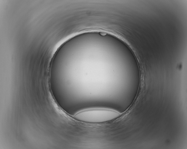 X0000110771534200906150942