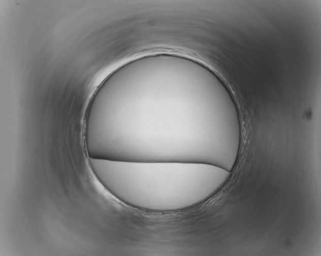 X0000110771535200906150942