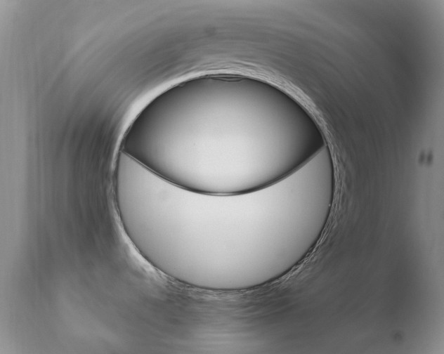 X0000110771536200906150942