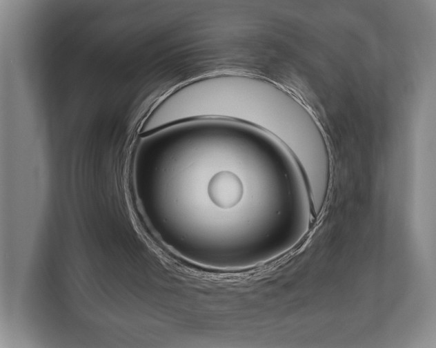 X0000110770001200906151335