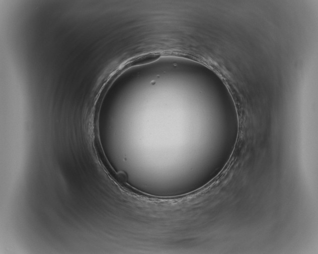 X0000110770002200906151335