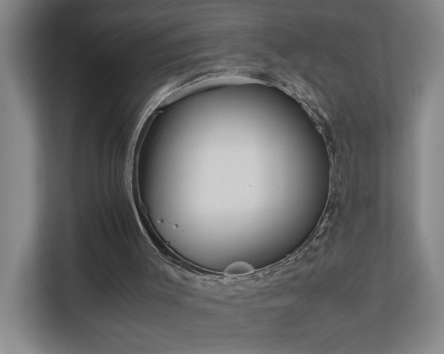 X0000110770003200906151335