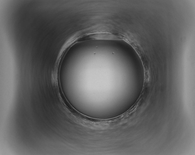 X0000110770004200906151335