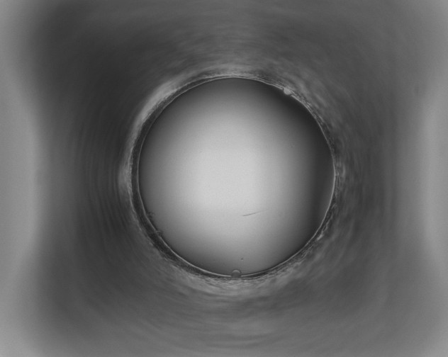 X0000110770006200906151335