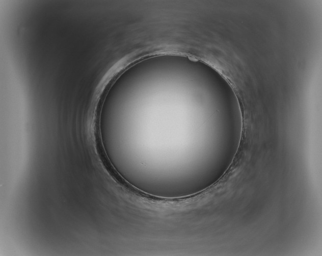 X0000110770007200906151335