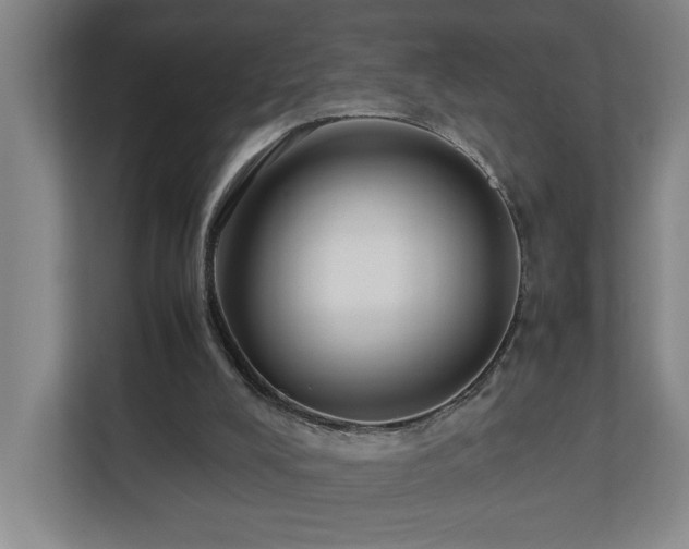 X0000110770008200906151335