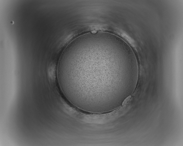 X0000110770009200906151335