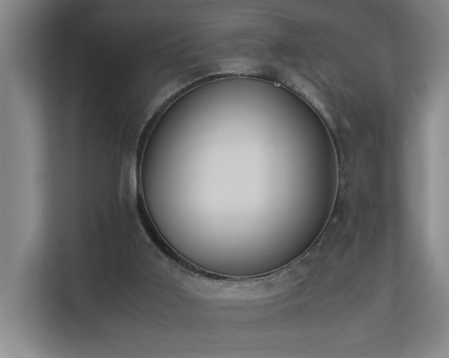 X0000110770011200906151335