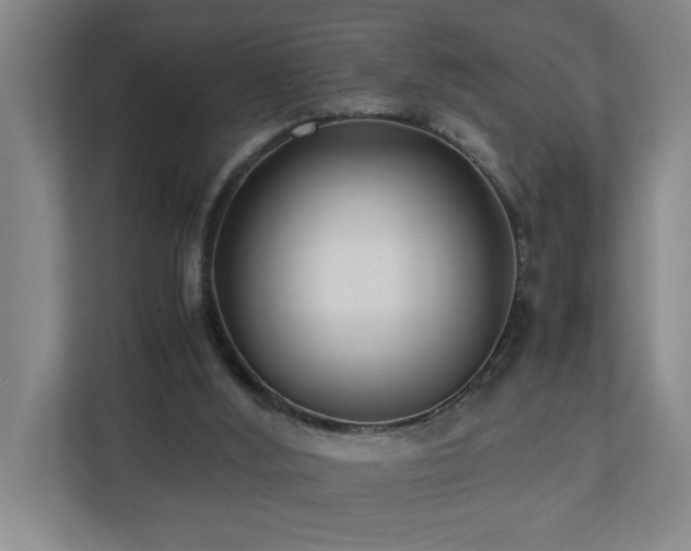 X0000110770012200906151335