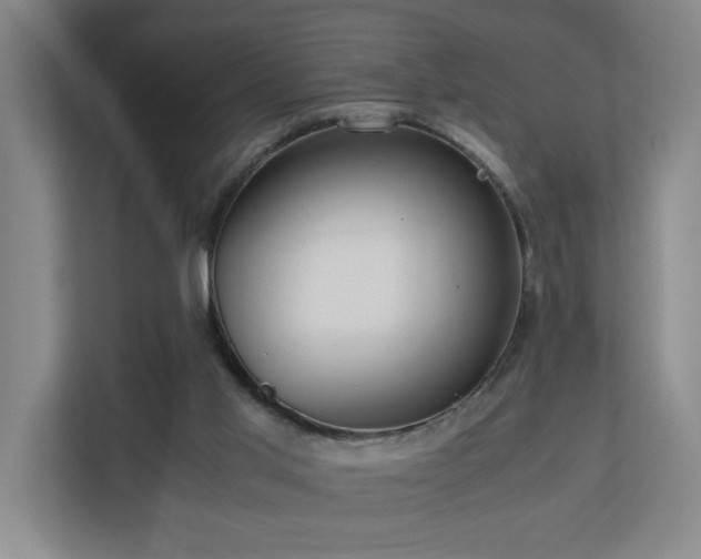 X0000110770013200906151335