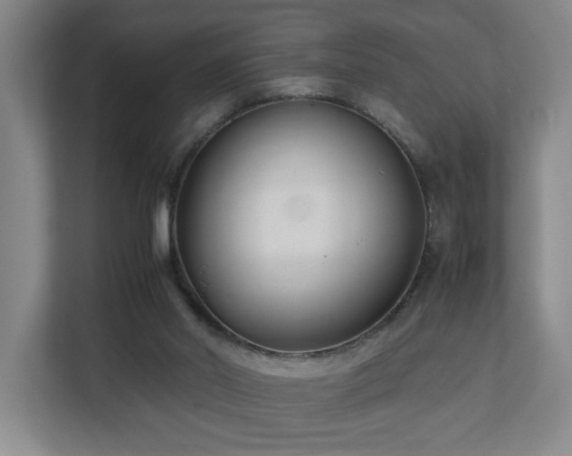 X0000110770014200906151335