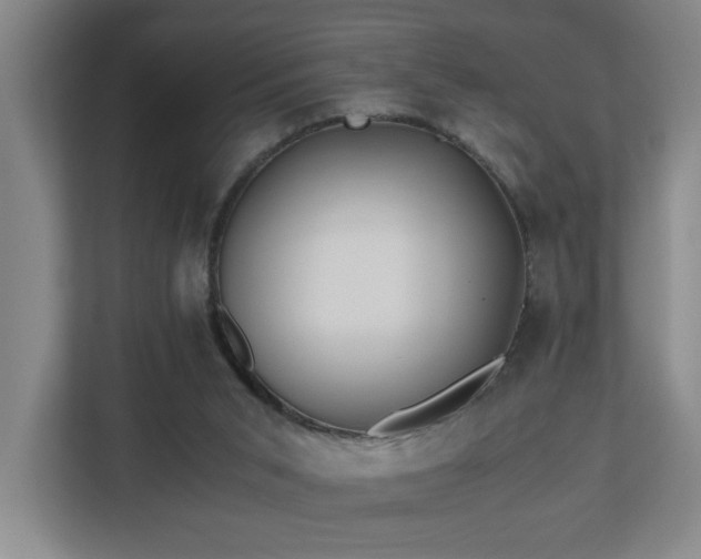 X0000110770015200906151335