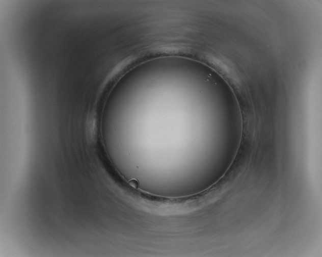 X0000110770016200906151335