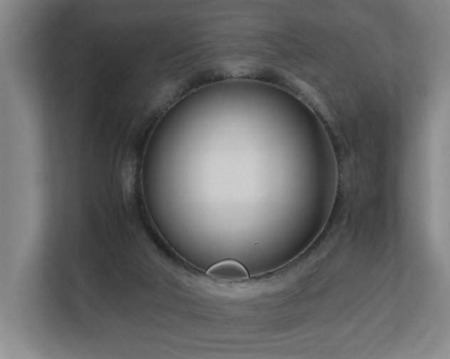 X0000110770018200906151335