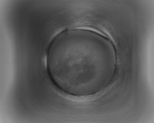 X0000110770019200906151335