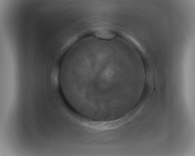 X0000110770023200906151335