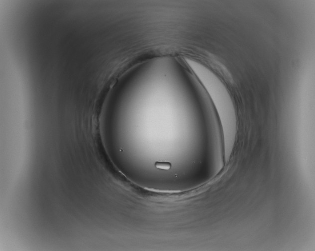 X0000110770025200906151335