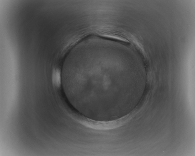 X0000110770027200906151335