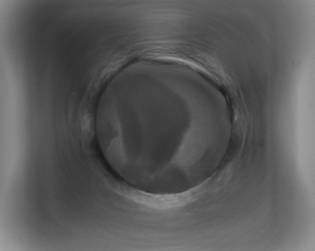 X0000110770031200906151334