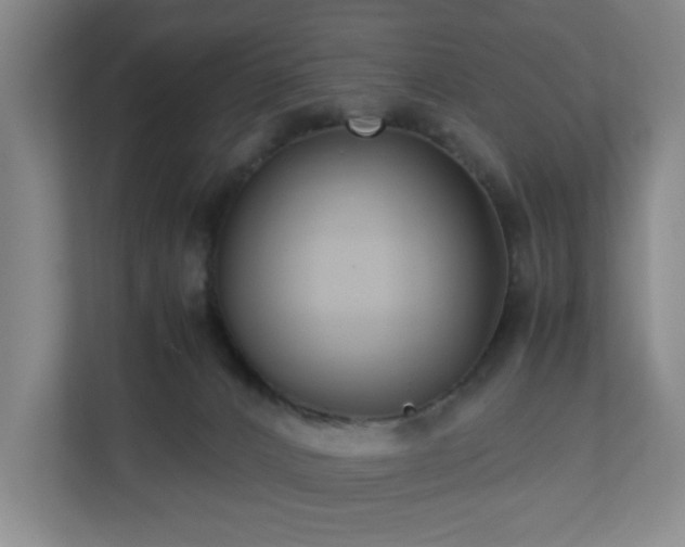 X0000110770032200906151334