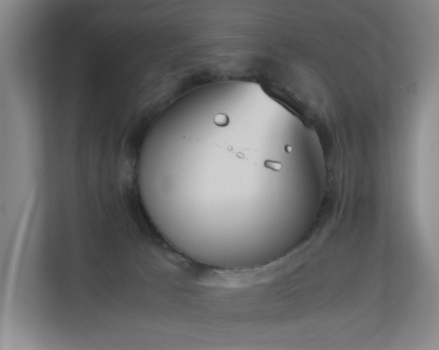 X0000110770033200906151334