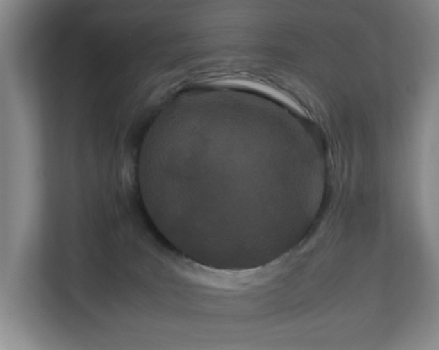 X0000110770035200906151334