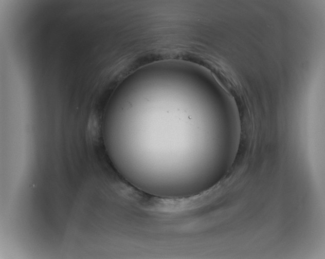 X0000110770037200906151334