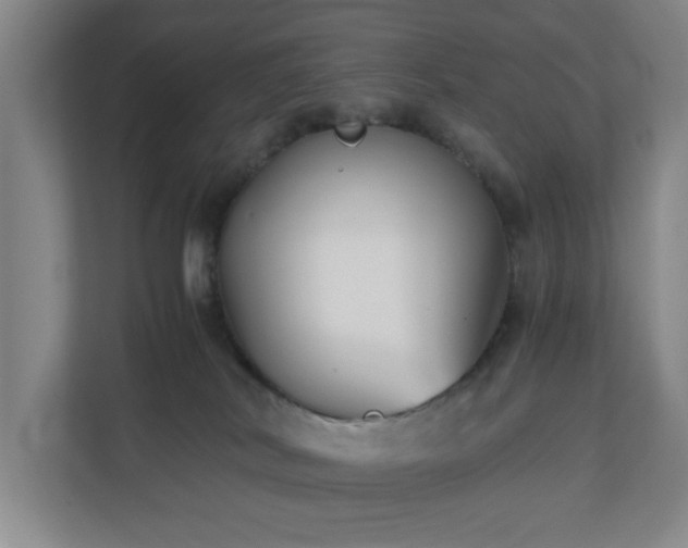 X0000110770038200906151334