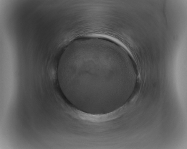 X0000110770039200906151334