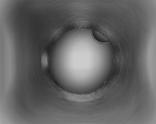 X0000110770042200906151334