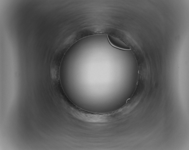 X0000110770044200906151334