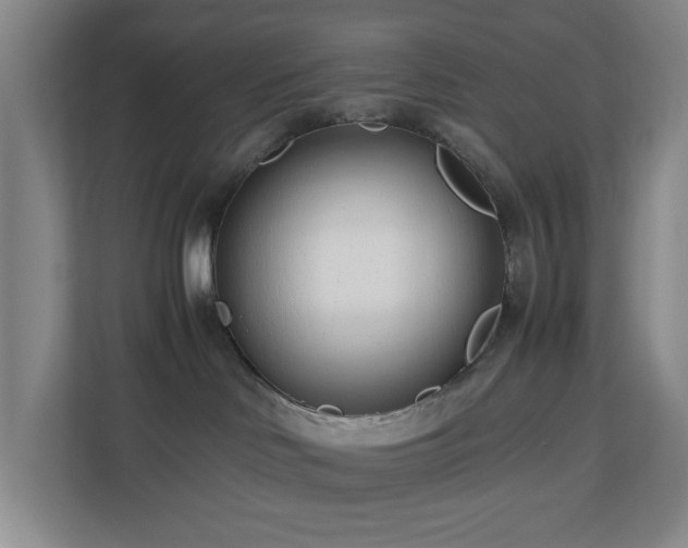 X0000110770046200906151334