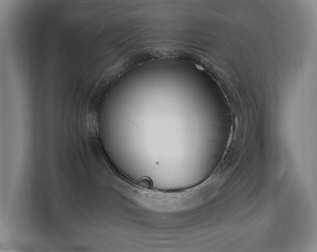 X0000110770048200906151334