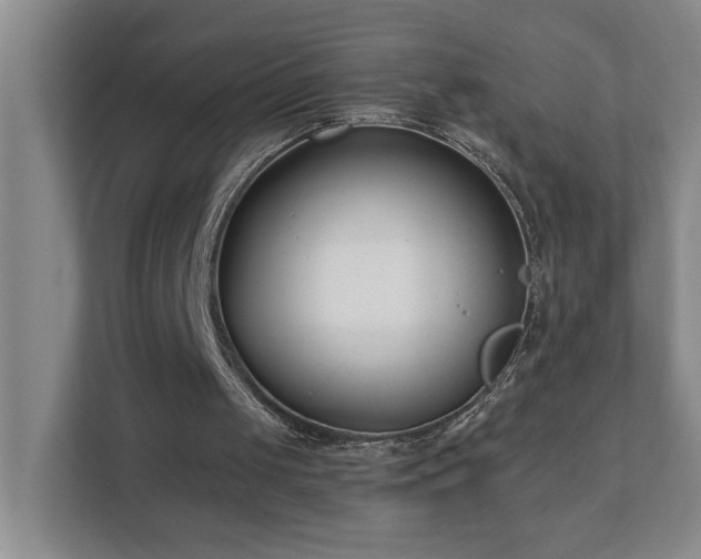 X0000110770049200906151334